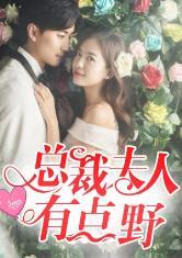 总裁夫人有点野,从叛逆少女到豪门宠妻的蜕变之路