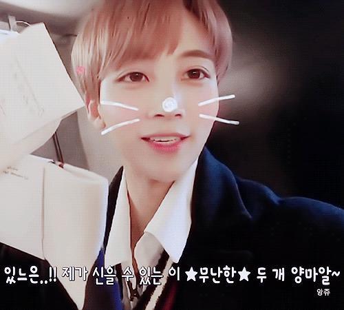 全宗飞升!娇娇女儿独宠修真界