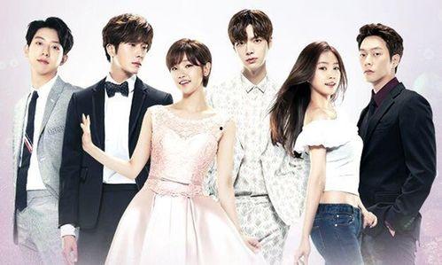 灰姑娘与四骑士,魔法与命运的传奇对决