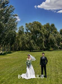 小森林 2019,田园诗篇中的温馨时光